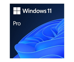 [FQC-10552] Windows 11 PRO DVD 64Bit